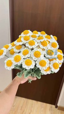 Bó hoa cúc len